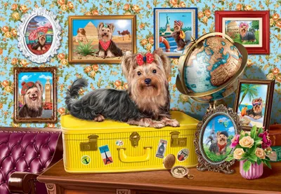 Image de Puzzle Alipson « Chiot Yorkshire Terrier » - Puzzle de 1 000 pièces