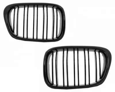 Imagen del producto de Rejilla delantera para BMW Serie 5 E39 (modelos 1997-2003), diseño de doble raya "M", color  brillante.