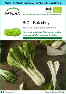 Image de SAFLAX Ensemble-cadeau -- Bok choy - 300 graines - Brassica