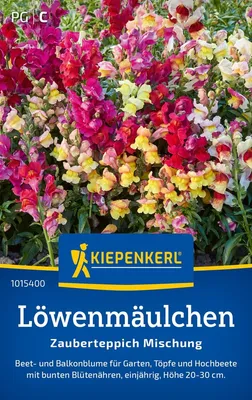 Produktbild von Kiepenkerl Löwenmäulchensamen Zauberteppich 200 Pflanzen