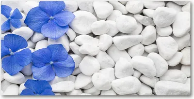 Produktbild von Tulup Glas-Bild -140x70- Wandkunst Dekorative Wand für Küche & Wohnzimmer - Blumen & Pflanzen - Hortensie - Blau