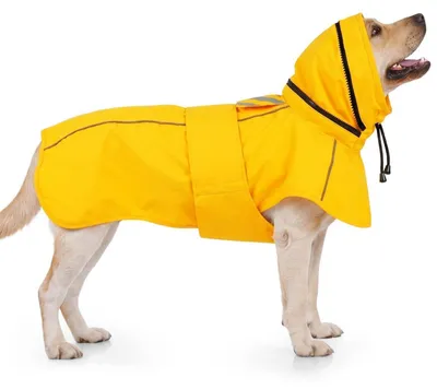 Immagine prodotto di Impermeabile riflettente giallo per cani, taglia 2XL