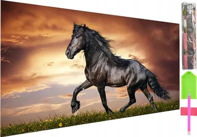 Produktbild von 5D DIAMANT STICKEREI Set Bild MOSAIK 50*100cm