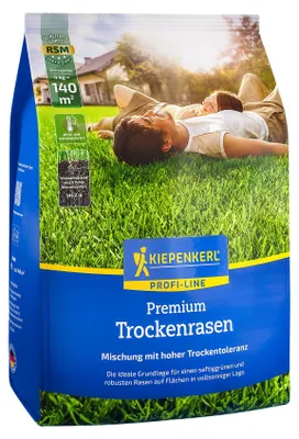 Produktbild von Kiepenkerl Rasensamen Sunny Green für trockene Standorte 4 kg