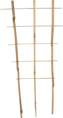 Obrázok produktu pre SIENA GARDEN Bambusová mreža 45cm 45x22x10cm