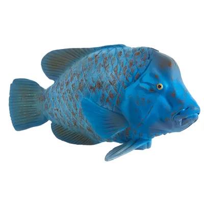 Produktbild von Mojo 387356 Animal Planet Riesenlippfisch