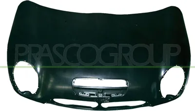 Produktbild von PRASCO MN3043110 Motorhaube für MINI Schrägheck (R50, R53) Cabrio (R52)