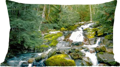 Produktbild von MuchoWow® Zierkissen Sofakissen Wohnzimmer Dekokissen 60x40 cm Natur - Wasserfall - Bäume - Herbst - Kopfkissen - Polster mit Foto