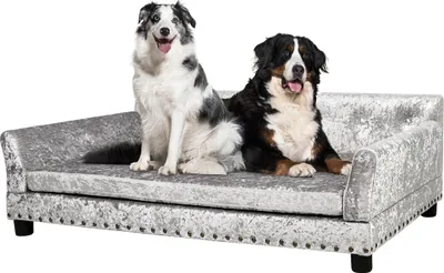 Zdjęcie produktu dla WISFOR sofa dla psa z oparciem, sofa dla psa z drewnianą ramą, legowisko dla psa, XL: 120 x 74 x 40 cm