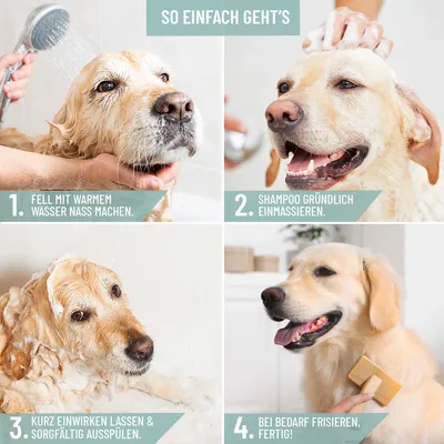 Produktbild von REAVET Neemöl Shampoo für Hunde 500ml - Hundeshampoo gegen Juckreiz, Milben, Flöhe, Zecken, Hautfreundlich, Pflegend & leicht kämmbar, Fellpflege & Fellglanz, Angenehm im Geruch