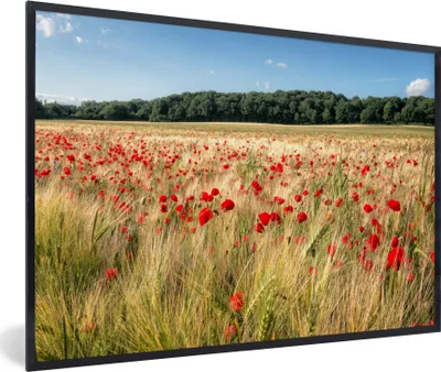 Produktbild von MuchoWow® Gerahmtes Poster Wilde Mohnblumen auf einem großen Feld 60x40 cm - Poster mit Schwarzem Bilderrahmen Wandposter Rahmen Foto Bilder - Printing - Wanddeko Schlafzimmer