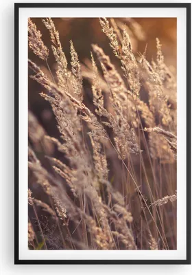 Produktbild von Gerahmtes Poster - Schwarzer Rahmen - Boho Ähren Feld - 61x91,5 cm - Wand Bild - Wanddeko - Wandbilder - Kunstposter - Wandposter - Bilderrahmen - Bilder - Kunstdruck Wanddekoration - P2BPA61x91-4838