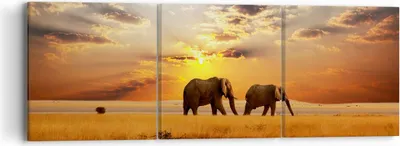 Produktbild von Bild auf Leinwand - Leinwandbild - Elefanten Safari Dschungel Busch - 90x30cm - Wand Bild - Wanddeko - Leinwanddruck - Bilder - Kunstdruck - Wanddekoration - Leinwand bilder - Wandkunst - CA90x30-3150
