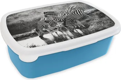 Obrázok produktu pre KitchenYeah® Lunchbox Lunchbox 17x11 cm Pitie Zebry Detský box na desiatu - Obed - Plastový - Box na chlieb - Box na sendvič - Obedár pre deti