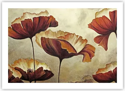 Produktbild von Poster - Poster ohne Rahmen - Mohn Blume Wiese - 70x50 cm - Wand Bild - Wanddeko - Wandbilder - Kunstposter - Wandposter - Bilder - Kunstdruck - Wanddekoration - Wandbild - P2XAA70x50-3760