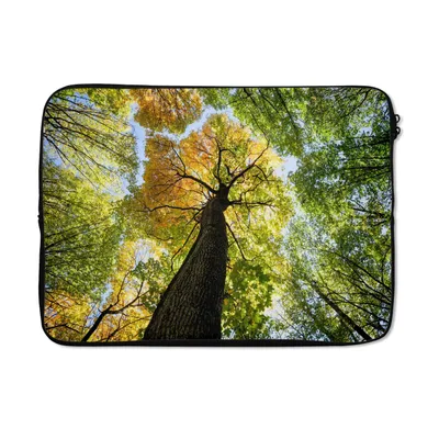 Produktbild von MuchoWow® Laptop Hülle 14 ZollBaum - Natur - Wald Laptoptasche - Laptoptasche - Stoßsicher - Schutzhaube