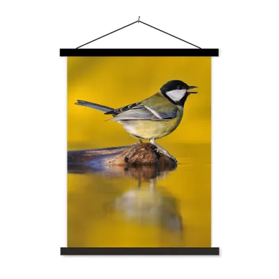 Produktbild von MuchoWow® Textilposter Kohlmeise - Vogel - Wasser 40x53 cm mit schwarzem Rahmen - Abbildung
