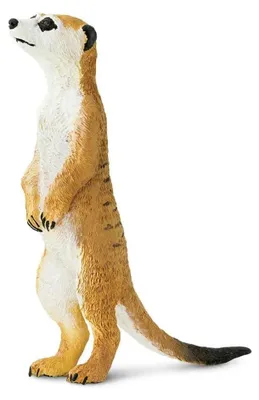Immagine prodotto di Safari Ltd - Figurina Suricata - 224629