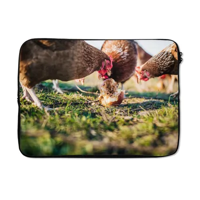 Produktbild von MuchoWow® Laptop Hülle 14 ZollHühner essen Apfel Laptoptasche - Laptoptasche - Stoßsicher - Schutzhaube