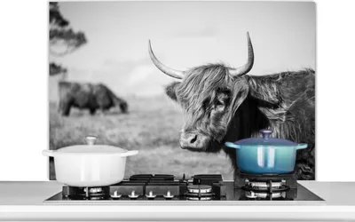 Produktbild von KitchenYeah®  Spritzschutz Küche - Küchenrückwand - Wandschutz für Herd und Spüle - Schottisches Hochlandrind - Tiere - Schwarz - Weiß 100x65 - Alu-Dibond (Alternative zum Spritzschutz aus Glas) - Hit