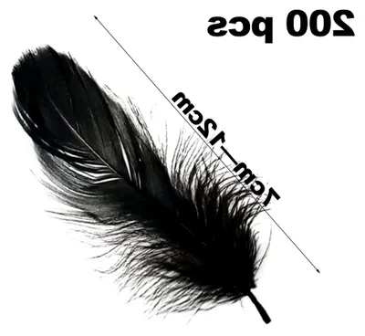 Produktbild von 200 Stück Bastelfedern zum Dekorieren, natürliche Federn für Traumfänger, DIY-Partys, Ohrringe, Hüte, Hochzeiten und Bastelprojekte, jeweils 7 bis 12 cm lang (schwarz)