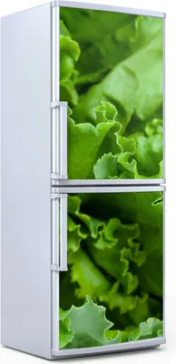 Produktbild von Kühlschrankdekoration 70x180 cm Aufkleber auf dem Kühlschrank - Kopfsalat grün Salat