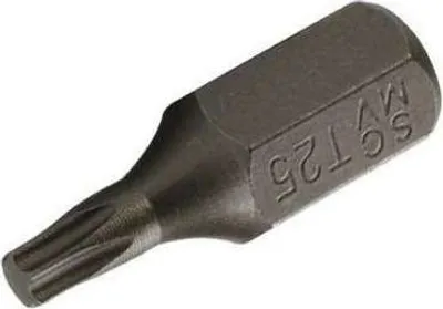 Zdjęcie produktu dla Bit 10 Mm (3/8) Torx T25X30 Mm