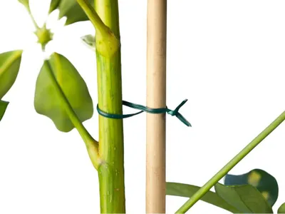 Produktbild von Warentuin Producten
