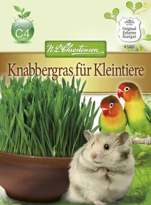 Produktbild von Knabbergras für Kleintiere | Kleintiersaaten von N.L. Chrestensen
