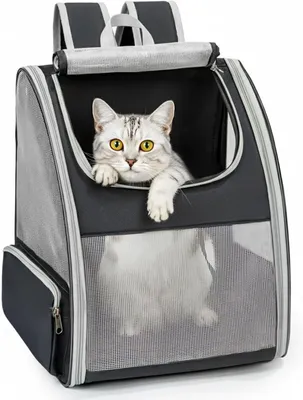Immagine prodotto di Trasportino pieghevole per piccoli animali domestici fino a 7 kg, con finestre in rete su tre lati