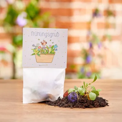 Produktbild von Blumenmurmeln Frühlingsgruß – 10 Tütchen mit je 5 Saatkugeln – Kreatives Frühlingsgeschenk & nachhaltige Aufmerksamkeit zu Ostern – Wildblumen für Garten & Balkon – Bienenfreundlich & dekorativ