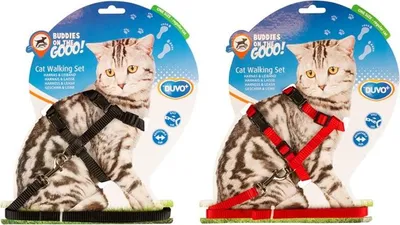 Obrázek produktu pro Postroj a vodítko cat DUVO+ 20-35cm/10mm-125cm