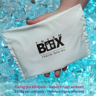 Produktbild von THERM BOX Profi Styroporbox 12BL mit 2x Kühlakku für Kühlbox Set 12L Innen: 36x26x13cm Transportbox Wiederverwendbar
