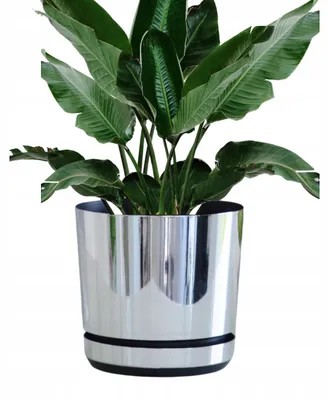 Produktbild von Kerd Dekor 21/016 Topf mit Untersetzer, glänzendes Spiegeldesign