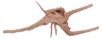 Produktbild von M Moorkienwurzel Nr.4411 Holz Deko Aquascaping