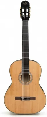 Imagen del producto de Guitarra clásica con accesorios, de 39 pulgadas, hecha de madera natural