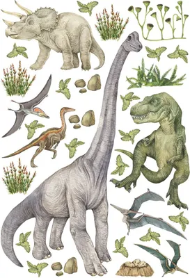 Produktbild von Sanders & Sanders Wandtattoo Dinosaurier Grün 65 x 42.5 cm
