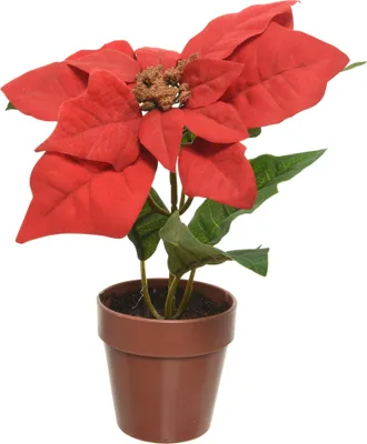Produktbild von Weihnachtsstern künstlich 27cm im Topf Weihnachtsrot