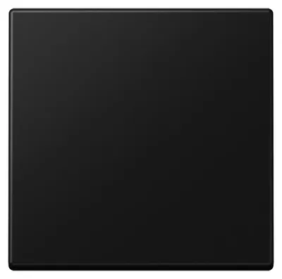 Image de Jung Bascule pour interrupteur/bouton-poussoir A590SWM (A590SWM)