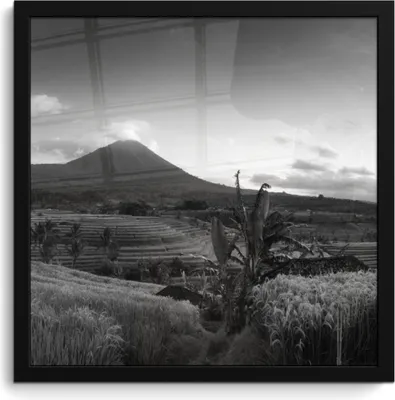 Produktbild von MuchoWow® MuchoWow® Gerahmtes Poster Indonesien - Reisfeld - Schwarz - Weiß 40x40 cm - Poster mit zchwarzem Bilderrahmen - Mit Rahmen - Wanddekoration Schlafzimmer