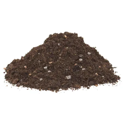 Produktbild von Floragard Zitrus- und Mediterranpflanzerde, 60 L Box
