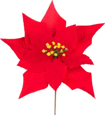 Produktbild von Blume MagicHome Weihnachten, Poinsettia, rot, 24 cm, Blütengröße: 24 cm - Set mit 6 Stück