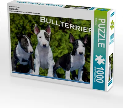 Produktbild von Calvendo Ein Motiv aus dem Kalender Bullterrier 1000 Teile Puzzle quer 640x480mm, CALVENDO; 7355129
