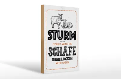 Produktbild von Holzschild Spruch lustig Sturm wenn Schafe Locken 20x30cm
