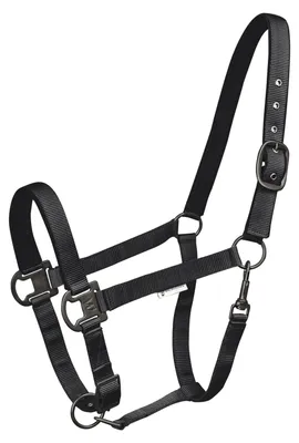 Produktbild von Waldhausen Halfter Gloomy Schwarz WB