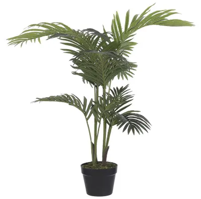 Produktbild von Mica Palme im Topf grün, 100 x 70 cm