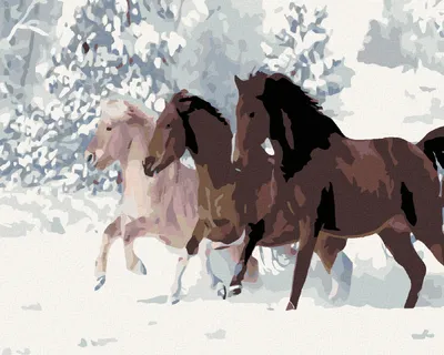 Produktbild von Diamondi - Diamond painting - PFERDE IM SCHNEE, 40X50 cm, mit Keilrahmen (bereits gespannt)