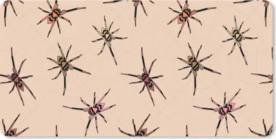 Produktbild von MuchoWow® Schreibtischunterlage Puber - Spinne - Spinnennetz - Muster 80x40 cm - XXL Mauspad - Gaming Mauspad