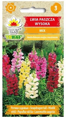Obrázok produktu pre Snapdragon vysoký MIX Kvetinové semená - 555 Toraf