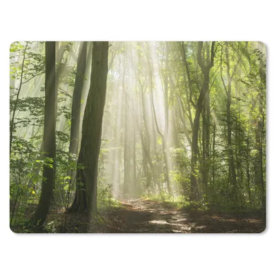 Produktbild von MuchoWow® Mauspad Mousepad Wald - Licht - Natur - Landschaft 23x19 cm - Mousepads - Maus Mat - Pad - Mausunterlage - Schreibtischunterlage - Mauspad